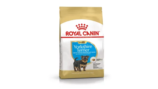 Royal Canin Корм сухой для щенков породы Йоркширский Терьер до 10 месяцев, Yorkshire Terrier Puppy, 500г