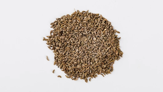 Семена Петрушка "Итальянский гигант" (А)_СО Семена Петрушка "Итальянский гигант" (А)_СО