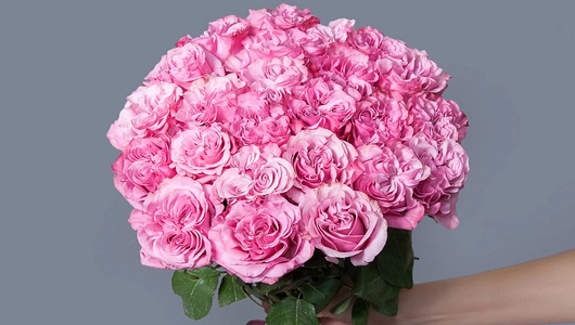 Монобукет 25 Роз "Country blues"