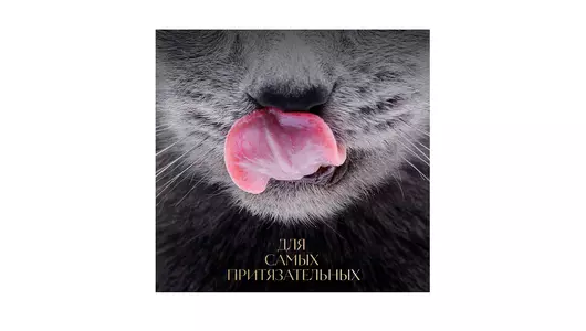 Корм влажный для взрослых кошек Sheba курица в желе 75 г Корм влажный для взрослых кошек Sheba курица в желе 75 г