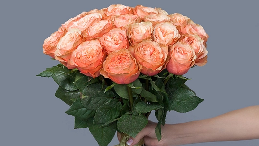 Монобукет 25 Роз «Kahala»