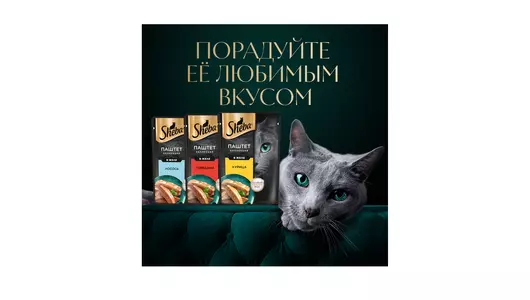 Корм влажный для взрослых кошек Sheba курица паштет 75 г Корм влажный для взрослых кошек Sheba курица паштет 75 г