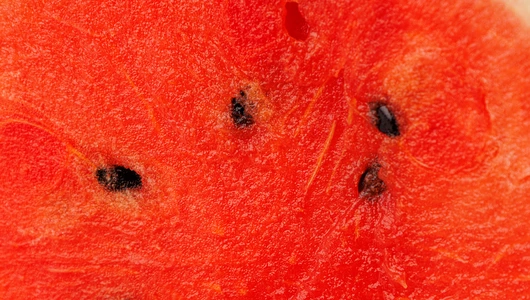 Арбуз красный "Яйцо Дракона" Азия