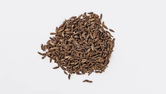 Семена Салат "Витаминный" (А)_СО