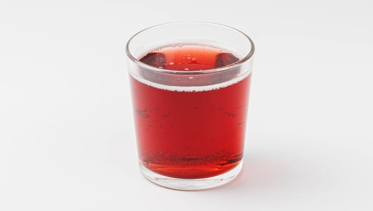 Комбуча "Клюква-брусника с мятой", 350 мл