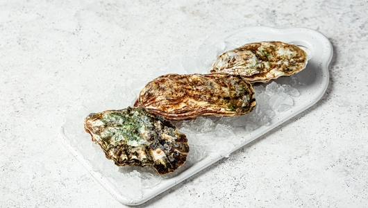 Устрица живая тихоокеанская, 60-100 гр, 1 шт.