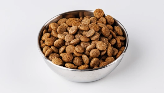 Корм сухой для взрослых кошек всех пород с индейкой и лососем