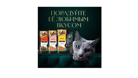 Корм влажный для взрослых кошек Sheba курица в желе 75 г Корм влажный для взрослых кошек Sheba курица в желе 75 г