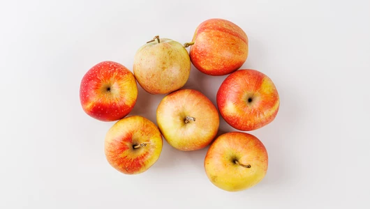 Яблоко садовое Яблоко садовое