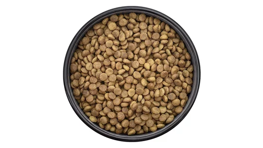 Smart Cat Сухой корм для взрослых кошек с курицей, индейкой и овощами, INDOOR, ADULT, Chicken and vegetables, 1,4кг