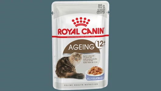 ROYAL CANIN 85гр для кошек Эйджинг +12 (желе)