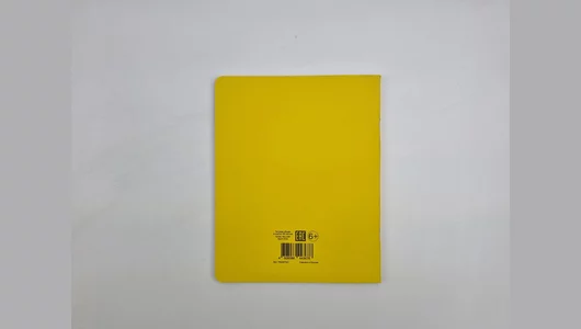 Тетрадь общая Listoff Total Sport time желтая А5 48 л в клетку на скрепке