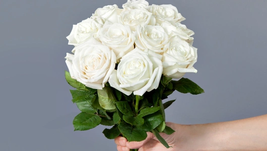 Монобукет из&nbsp;11 пионовидных эквадорских Роз "Playa Blanka" под&nbsp;ленту