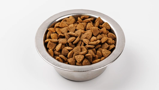 Корм сухой для стерилизованных кошек и кастрированных котов с курицей и голубикой для проф. МКБ