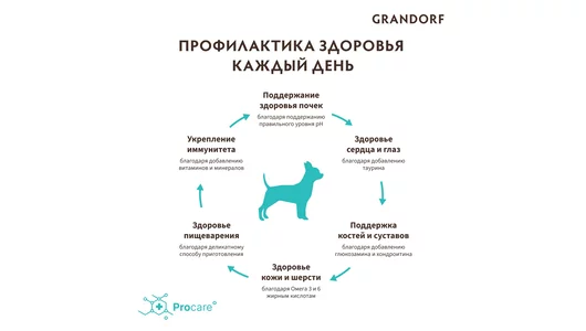 Корм сухой Grandorf Ягненок с индейкой для собак мини-пород 3 кг Корм сухой Grandorf Ягненок с индейкой для собак мини-пород 3 кг