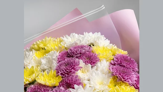Букет из&nbsp;хризантем микс в&nbsp;упаковке 15 шт