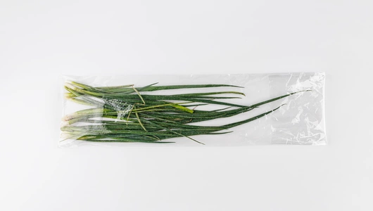 Лук зеленый, 50 г