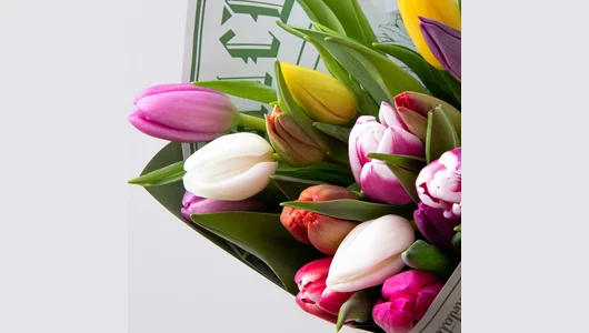 Букет Тюльпан, 15 шт, Рейнбоу Микс