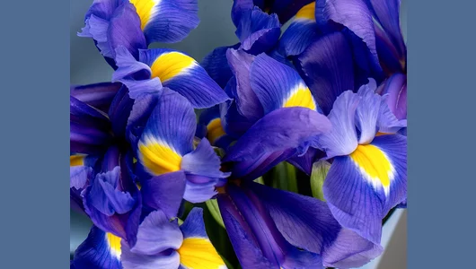 Букет цветов Забота