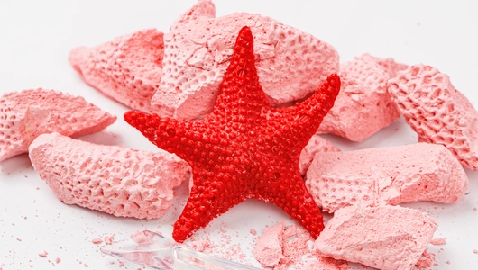 Набор для раскопок "Морская звезда" Набор для раскопок "Морская звезда"