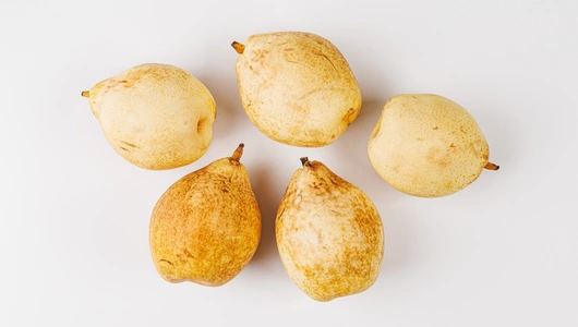 Груша белая