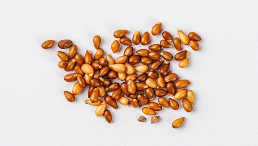 Семена Фиалка рогатая "Куколка"_СО