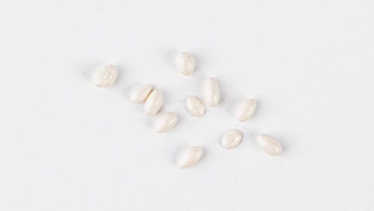 Семена Маргаритка "Хабанера Микс"_СО