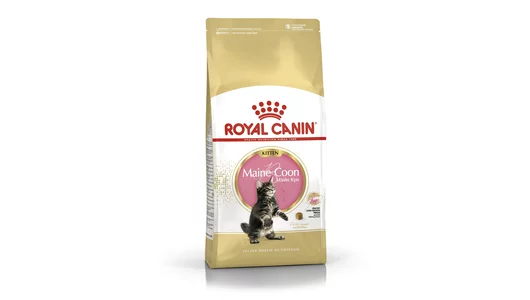 Royal Canin Корм сухой сбалансированный для котят породы Мэйн Кун, Maine Coon Kitten, 2кг