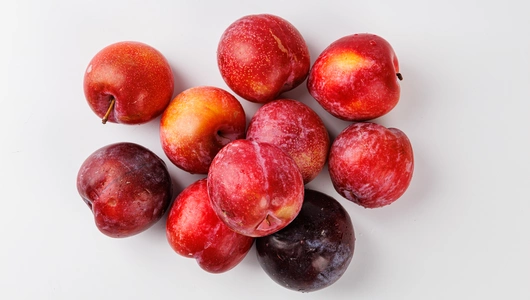 Слива красная