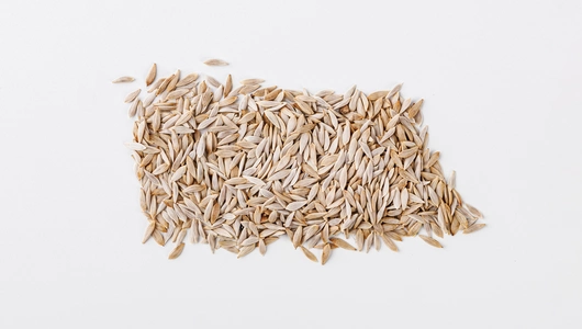 Семена Салат "Робин"_СО