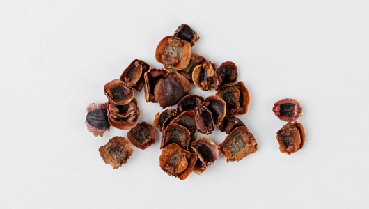 Семена Кореопсис крупноцветковый "Затея"_СО