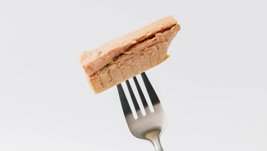 Тунец полосатый филе-кусочки в оливковом масле, 200 г Тунец полосатый филе-кусочки в оливковом масле, 200 г