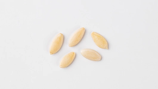 Семена "Огурец Подарок F1" Семена "Огурец Подарок F1"