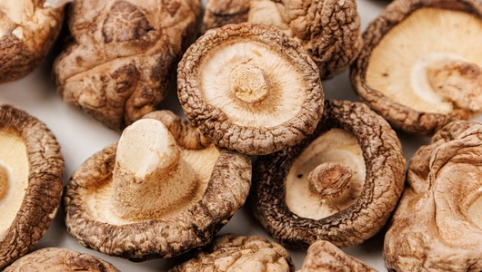 Грибы шиитаке сушеные, 40 г Грибы шиитаке сушеные, 40 г