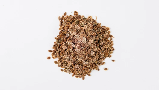 Семена Укроп "Мамонт"_СО