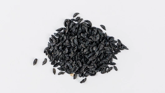 Семена Лук шнитт "Мудрец" (А)_СО