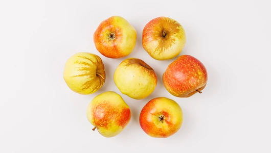 Яблоко Богатырь