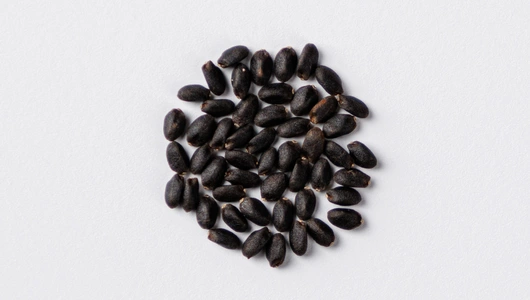 Семена "Базилик овощной Свежесть" Семена "Базилик овощной Свежесть"