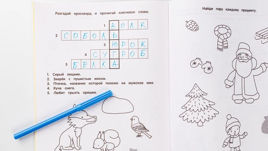 Загадки зимушки-зимы Загадки зимушки-зимы