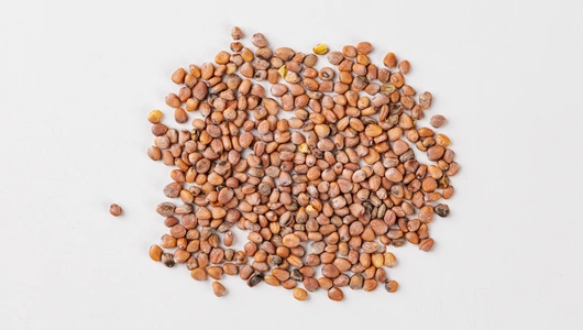 Семена "Редис Меркадо"