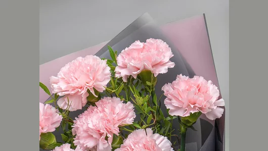 Букет из&nbsp;гвоздик с&nbsp;зеленью в&nbsp;упаковке S