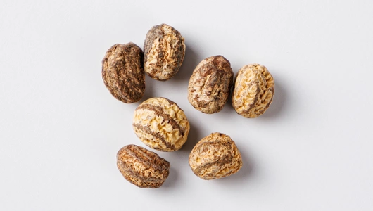 Семена "Настурция низкорослая Махагони"