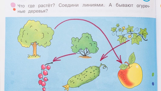 Умные игры с картинками для малышей "КотоВасия"
