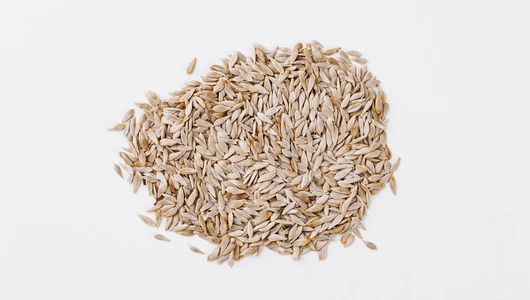 Семена Салат "Гурман" (А)_СО