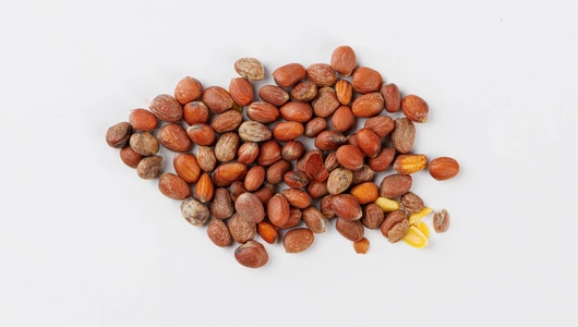 Семена Дайкон "Цезарь" (А)_СО