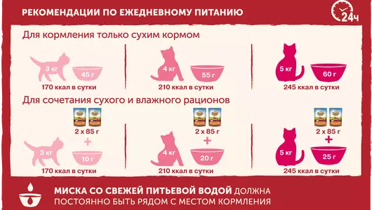 Корм влажный Nature`s Table для кошек Говядина в соусе 85 г