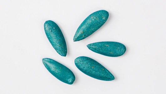 Семена "Дыня Августин F1" 5 шт АСТ