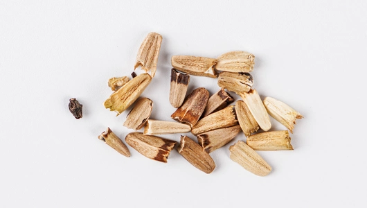 Семена Эхинацея "Смесь сортов"_СО