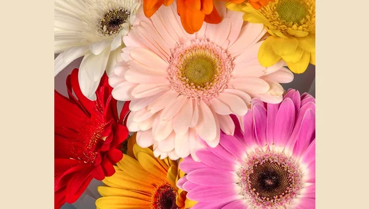 Букет экспресс Значительная