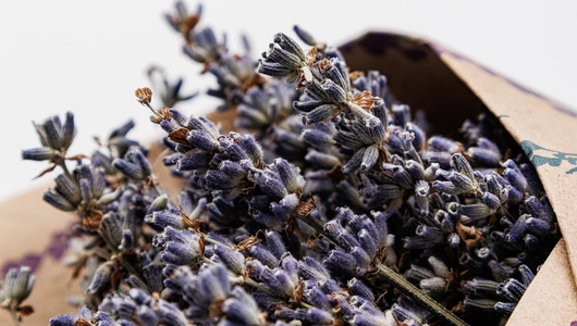 Букет сухоцветов "Лаванда"